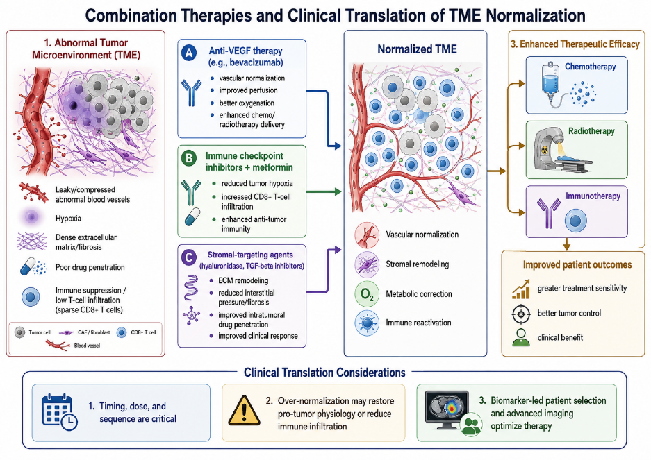 Integrated combination therapies for tumor microenvironment normalization and clinical translation </b></i><sup><i><b>15.