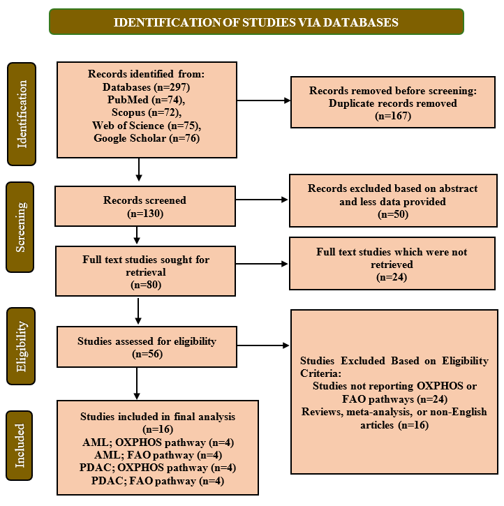 PRISMA Flow Diagram for Study Selection. The flowchart was designed according to the PRISMA guidelines 2020, showing study identification, screening, eligibility assessment, and final selection in the systematic review (n= 16)
