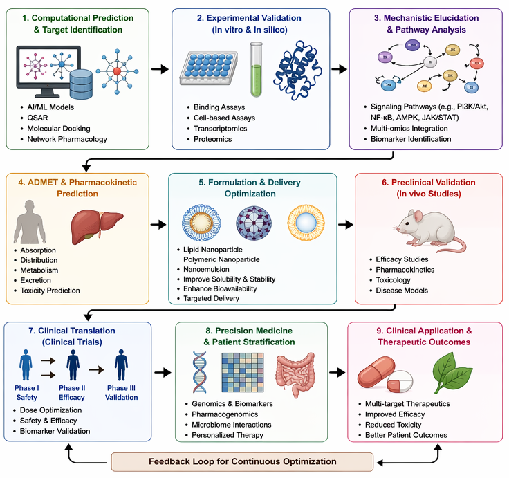 Integrated framework of drug repurposing of natural compounds: from computational prediction to clinical translation. A stepwise framework for natural product repurposing, encompassing AI/QSAR-based target prediction, experimental validation, mechanistic pathway analysis, ADMET/PK profiling, and formulation optimization, followed by preclinical studies and clinical trials. Integration of multi-omics and precision medicine enables patient stratification, with iterative feedback improving therapeutic efficacy and safety </b></i><sup><i><b>1,2,26,39,48</b></i></sup><i><b>.