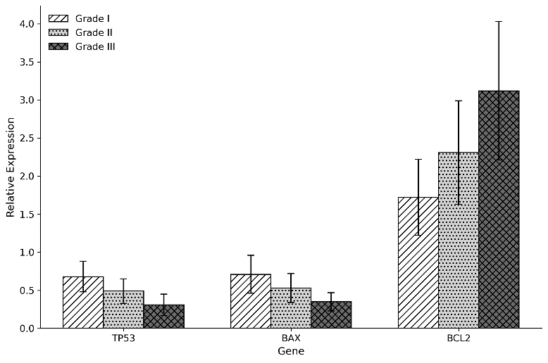 Relative expression of TP53, BAX, and BCL2 according to histological tumor grade.